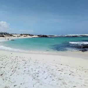 calma-apartment-on-the-most-amazing-beach-in-fuerteventura.in-canary-islands.com/